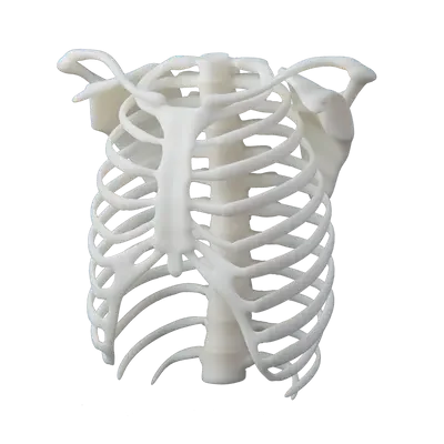 11082017_medical_171_1_