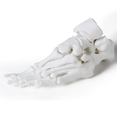 white_1